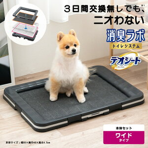 j`[EybgPA@L{@gCVXe{̃Zbg@Ch