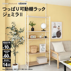 ςIbN WF~II ˂胉bN ˂I I nK[bN bN ǖʎ[ ǖ [  CeA ˂ ς ˂_ 8030-180 zCg i` 