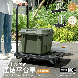 R[iIWi LIFELEX@nhtAԁ@KR10|0509