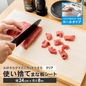 y11/5() Iōő100%|CgobN vGg[zR[iIWi LIFELEX@ĝĂ܂ȔV[g{́@8m@NA@80024|015CR