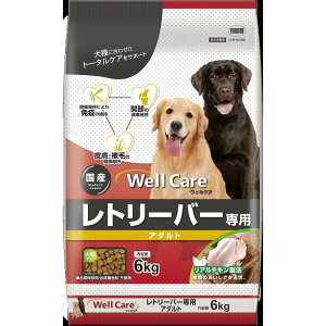 C[X^[@EFPA@g[o[p@A_g@6kg