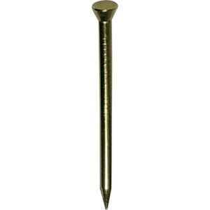 �y���[�J�[����T�z�_�C�h�[�n���g�@HP�@�^�J���[���B�@1�D7×25�@40�{�� 10183132