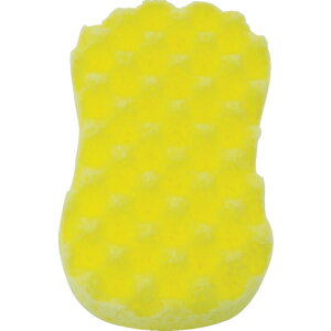 y[J[Tz\tg99iSOFT99j@ԃX|WPRO@04045