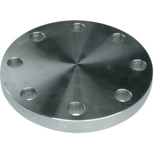 �y���[�J�[����T�z�C�m�b�N�@�u���C���h�t�����W�@304BF10K80A