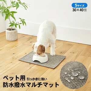 y|Cg3{ 10/30`10/31܂ŁzR[iIWi LIFELEX@h}`}bgS@uE@400×300×5mm