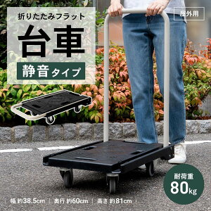 R[i IWi܂肽݃tbgԐÉ^Cv PH1009S