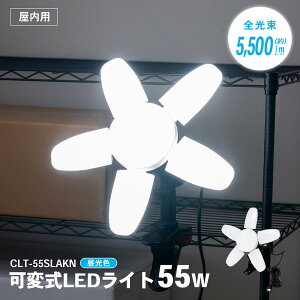R[iIWi PROACT@ώLEDCg@55W@5A500lm@CLT|55SLAKN