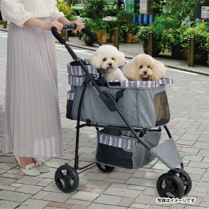 y12/5() Iōő100%|CgobN vGg[zGEX@J[gX}[gnfBSafety XgCvO[