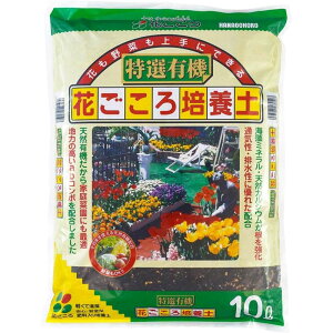 y11/25() Iōő100%|CgobN vGg[zԂ@IL@Ԃ|{y@10L