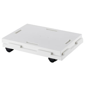 y|Cg3{ 10/30`10/31܂ŁzTR[vX`bN@Ał郉NS22@zCg