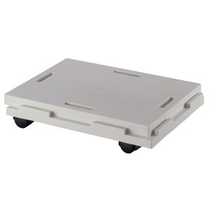 y|Cg3{ 10/30`10/31܂ŁzTR[vX`bN@Ał郉NS22@O[