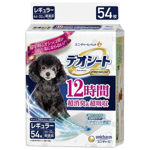 y[J[Jzj`[EybgPA@fIV[gPremium12ԒLzM[54