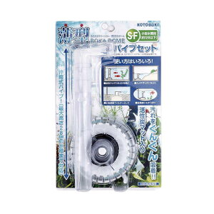 y11/5() Iōő100%|CgobN vGg[zy[J[JzH|@^납h[S|F@pCvZbg