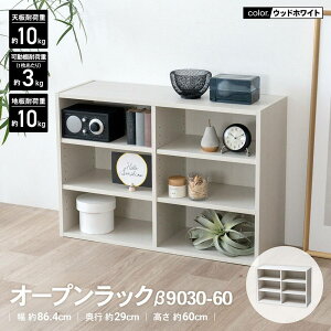 R[iIWi LIFELEX@I[vbN@9030|60@WWH@EbhzCg