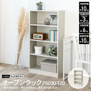 R[iIWi LIFELEX@I[vbN@6030|120@WWH@EbhzCgg