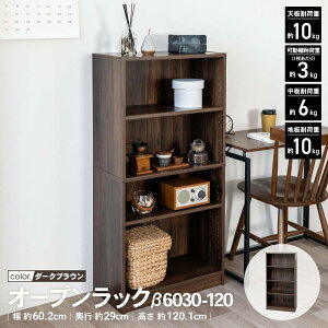 R[iIWi LIFELEX@I[vbN@6030|120@DBR@_[NuE