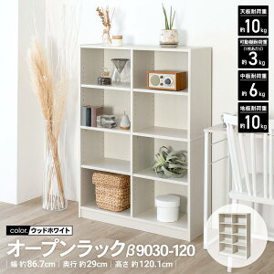 R[iIWi LIFELEX@I[vbN@9030|120@WWH@EbhzCg