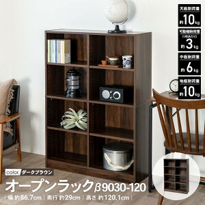 y12/5() Iōő100%|CgobN vGg[zR[iIWi LIFELEX@I[vbN@9030|120@DBR@_[NuE