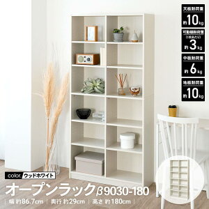 R[iIWi LIFELEX@I[vbN@9030|180@WWH@EbhzCg