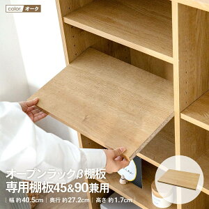 R[iIWi LIFELEX@I[vbNI@pI4590p@OAK@I[N