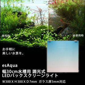 esAqua 30cmp  LEDobNXN[Cg W300XH300XD7mm KX5mmΉ