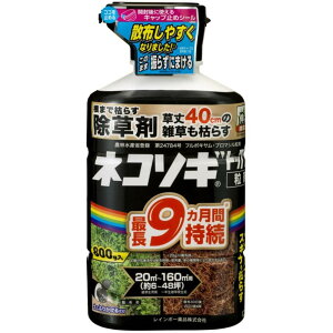 y|Cg3{ 10/30`10/31܂ŁzC{[i@lR\MgbvF@800g