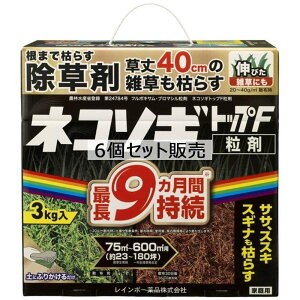 C{[i lR\Mgbv F  3kg ×6Zbg  TT XXL Ԏ