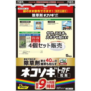 y|Cg3{ 10/30`10/31܂ŁzC{[i lR\Mgbv F  5kg@×4Zbg