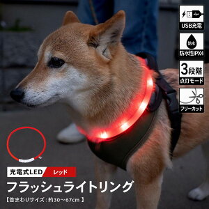 �R�[�i���I���W�i�� �[�d��LED�t���b�V�����C�g�����O�@���b�h�@SX12�|6060