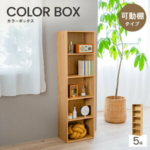 R[iIWi LIFELEX J[{bNXI 1i/2i/3i/4i/5i S3F