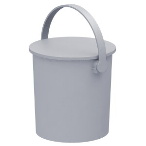 �R�[�i���I���W�i�� LIFELEX�@�������[�o�X�P�b�g�@10L�@���C�g�O���[