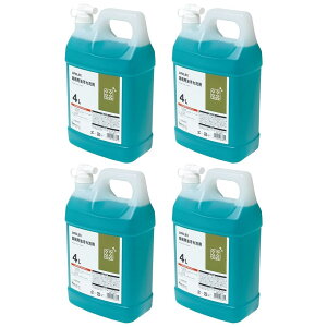 y|Cg3{ 10/30`10/31܂ŁzR[iIWi LIFELEX@Ɩp܁@̍@4L@×4Zbg