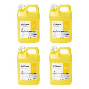 R[iIWi LIFELEX@ƖpH܁@O[vt[c̍@4L@×4Zbg