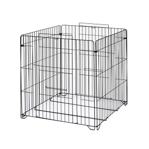 y12/5() Iōő100%|CgobN vGg[zO[Ct ^Xg[uK[h SGL-80BiMBKj