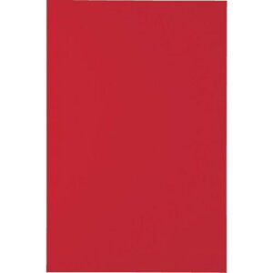 �y���[�J�[����T�z�y�g���X�R���R(TRUSCO)�@�}�O�l�b�g�V�[�g���L200X300�@�ԁ@MS-A2-R