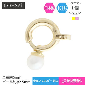  5.0mm p[t ۋ qL ANZT[p[c K18 K18PG y1z ߋ Ghp[c AM[Ή p[c Ђ NXv 5~ n M 18 { WG[ C n