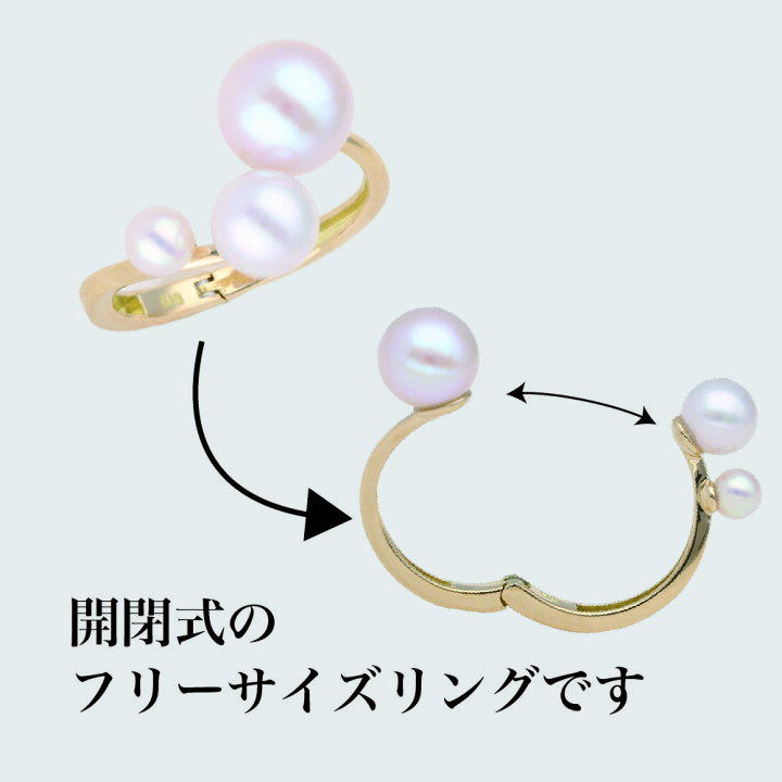 楽天市場】リング フリーサイズ 指輪 ギュットリング サイズ 調整 