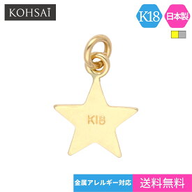 【特別クーポン配布中!】エンドパーツ スター 星 プレート チャーム シンプル アクセサリーパーツ 18K K18 K18WG ゴールド 【1個】 留め具 ネックレス アジャスター ピアス パーツ 丸カン付 18金 日本製 ニッケルフリー ハンドメイド|