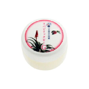 {L󎩑R_ XpWbN r[G() 10g