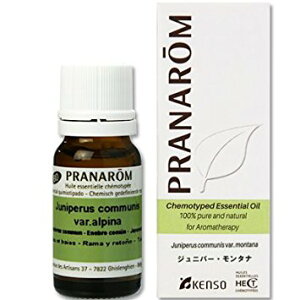 vi GbZVIC Wjp[E^i 10ml b j a j Ԃ 蕨 v[g Mtg A}IC I[KjbN A}es[ GbZVIC