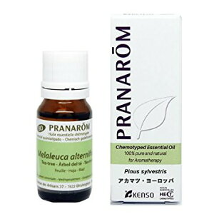 vi GbZVIC AJ}cE[bp 10ml b j a j Ԃ 蕨 v[g Mtg A}IC I[KjbN A}es[ GbZVIC