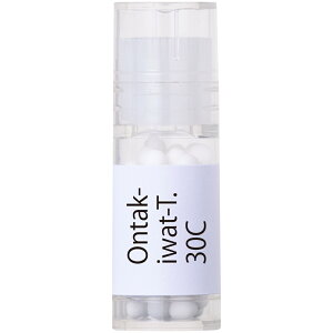 ホメオパシージャパン Ontak-iwat-T. 岩戸不動(御嶽神社・里宮) オンタキイワトティー 30C 小ビン