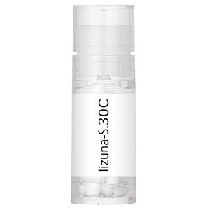 zIpV[Wp Iizuna-S. ѓ_ CCdiV 30C r