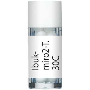 ホメオパシージャパン Ibuk-miro2-T. 伊吹山の北弥勒菩薩 祈り 30C 小ビン