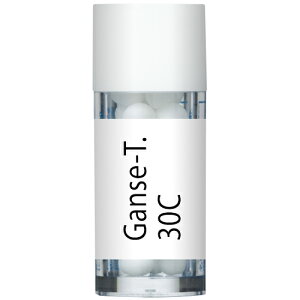 zIpV[Wp Ganse-T. D̈ɔ@@F 30C r