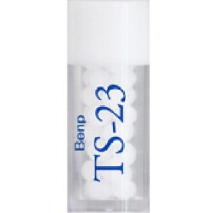 zIpV[Wp fB[ TS-23 (Benp) r