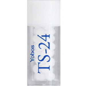 zIpV[Wp fB[ TS-24 (Yobos) r