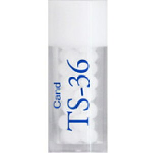 zIpV[Wp fB[ TS-36 (Cand) r