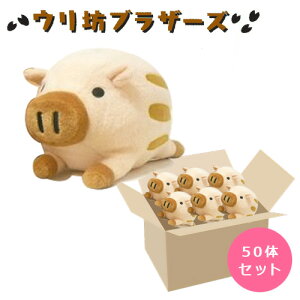 EVuU[Y x[W 50̃Zbg ʂ ii ΂܂   Ղ q ̑i