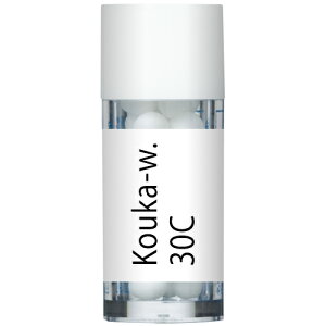 zIpV[Wp Kouka-w. REJXC__Ђ̎萅 30C r